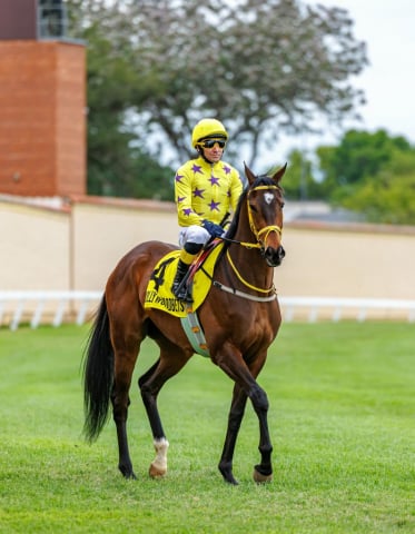 20250914 – Sunnybills Ferrari 4th at Scottsville (9)