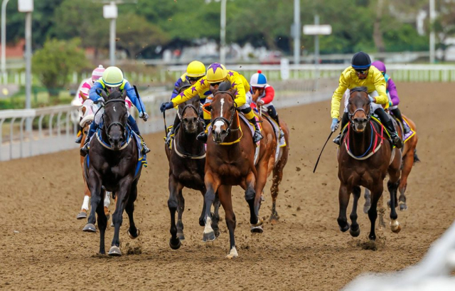 20251027 – LOU LOU THE LEGEND wins Greyville – 742 (10)