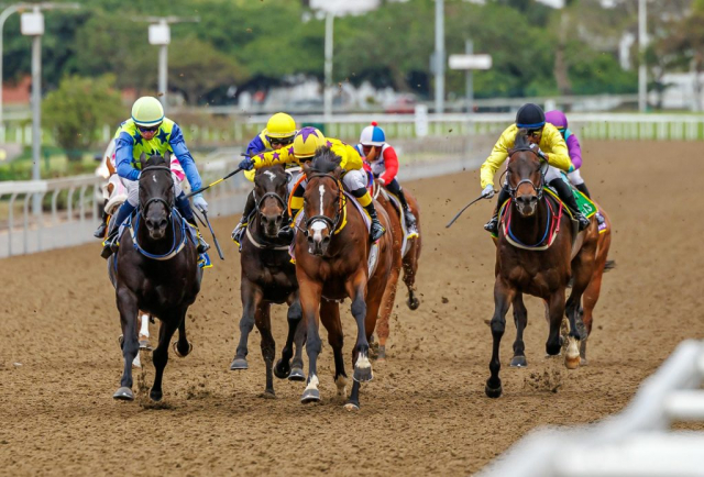 20251027 – LOU LOU THE LEGEND wins Greyville – 742 (11)