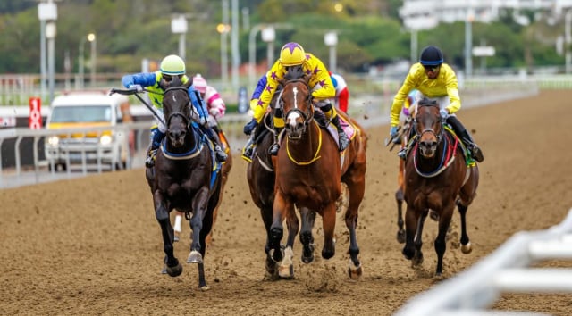 20251027 – LOU LOU THE LEGEND wins Greyville – 742 (12)