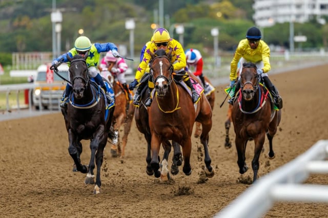 20251027 – LOU LOU THE LEGEND wins Greyville – 742 (14)