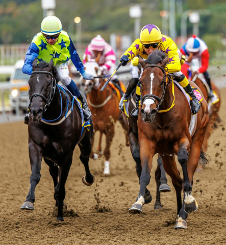20251027 – LOU LOU THE LEGEND wins Greyville – 742 (16)
