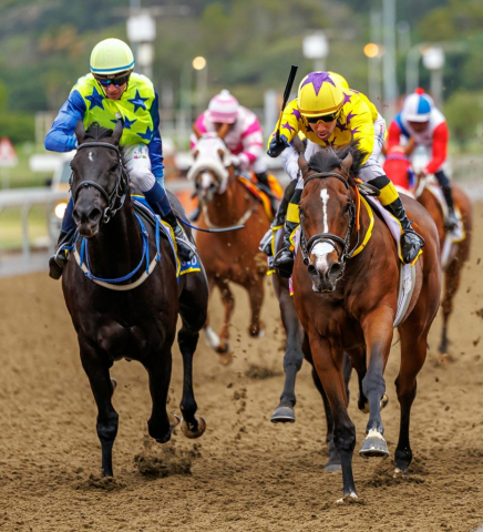 20251027 – LOU LOU THE LEGEND wins Greyville – 742 (17)