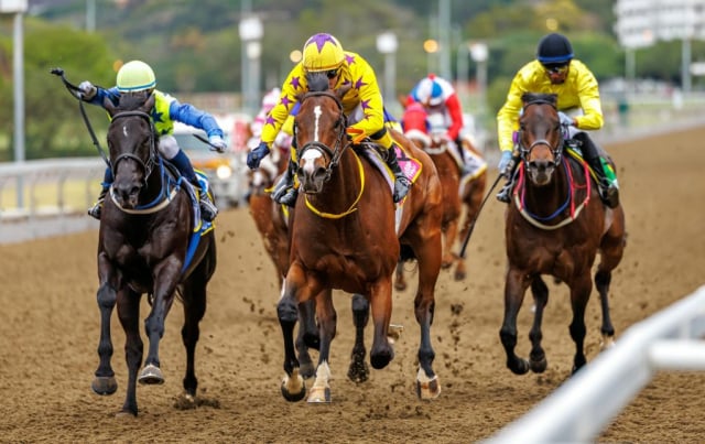 20251027 – LOU LOU THE LEGEND wins Greyville – 742 (18)