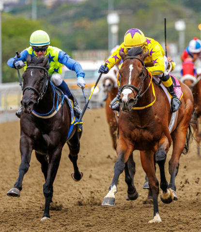 20251027 – LOU LOU THE LEGEND wins Greyville – 742 (19)