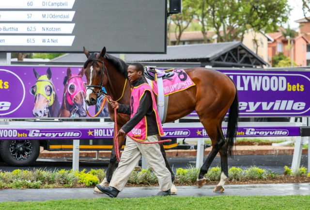 20251027 – LOU LOU THE LEGEND wins Greyville – 742 (2)