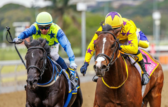 20251027 – LOU LOU THE LEGEND wins Greyville – 742 (20)