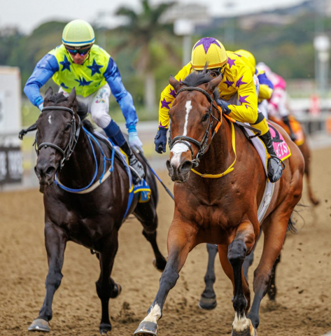 20251027 – LOU LOU THE LEGEND wins Greyville – 742 (21)