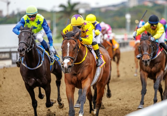 20251027 – LOU LOU THE LEGEND wins Greyville – 742 (22)