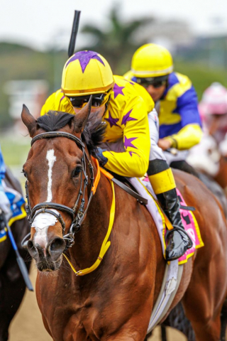 20251027 – LOU LOU THE LEGEND wins Greyville – 742 (23)