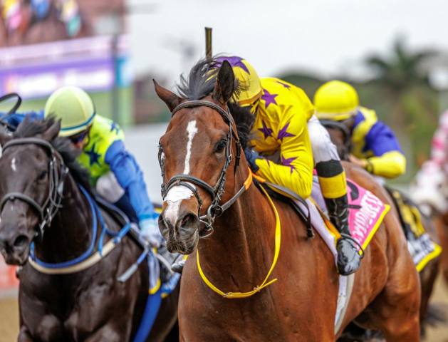 20251027 – LOU LOU THE LEGEND wins Greyville – 742 (24)