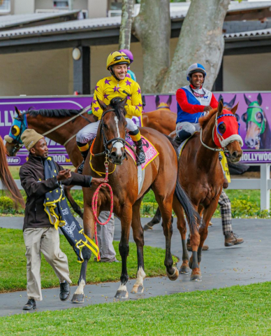 20251027 – LOU LOU THE LEGEND wins Greyville – 742 (28)