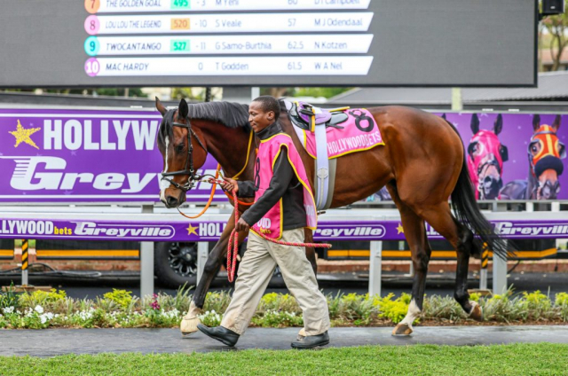 20251027 – LOU LOU THE LEGEND wins Greyville – 742 (3)