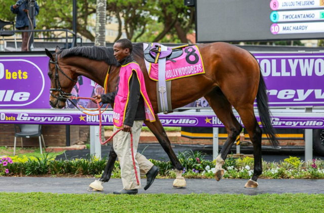 20251027 – LOU LOU THE LEGEND wins Greyville – 742 (4)