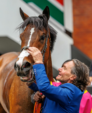 20251027 – LOU LOU THE LEGEND wins Greyville – 742 (41)