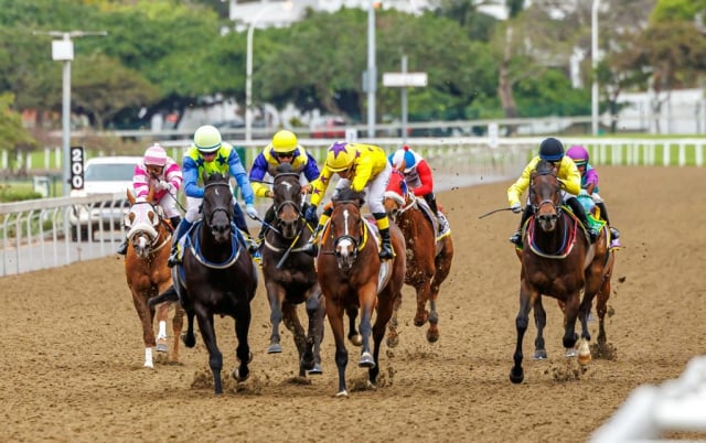 20251027 – LOU LOU THE LEGEND wins Greyville – 742 (7)