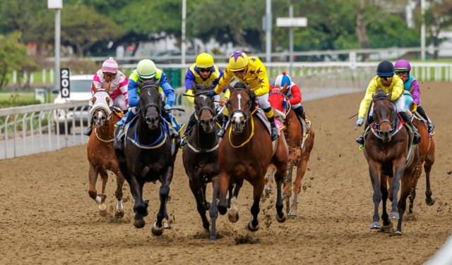 20251027 – LOU LOU THE LEGEND wins Greyville – 742 (8)