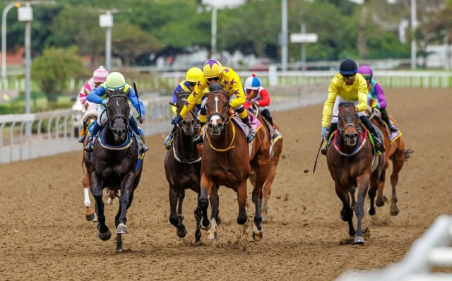 20251027 – LOU LOU THE LEGEND wins Greyville – 742 (9)