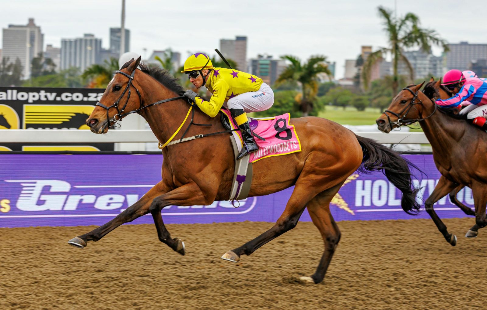Upcoming Runners Hollywoodbets Greyville Polytrack Tuesday 9 