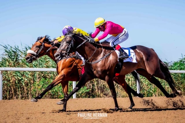 20251229 – HAPPY WIVES wins Fairview – 772 (3)