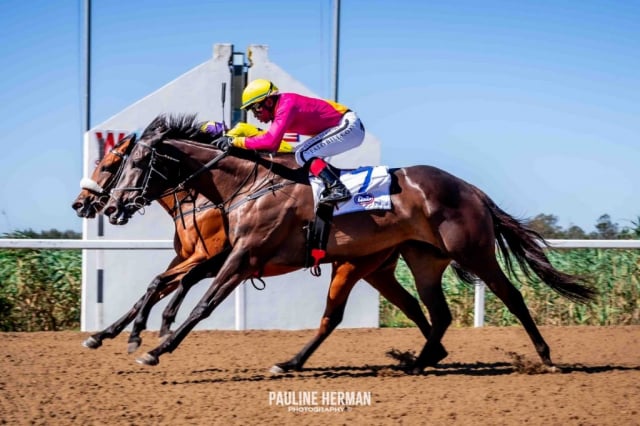20251229 – HAPPY WIVES wins Fairview – 772 (4)