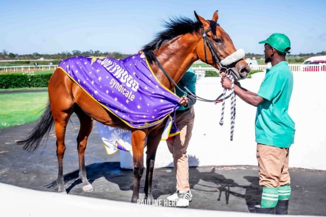 20251229 – HAPPY WIVES wins Fairview – 772 (8)