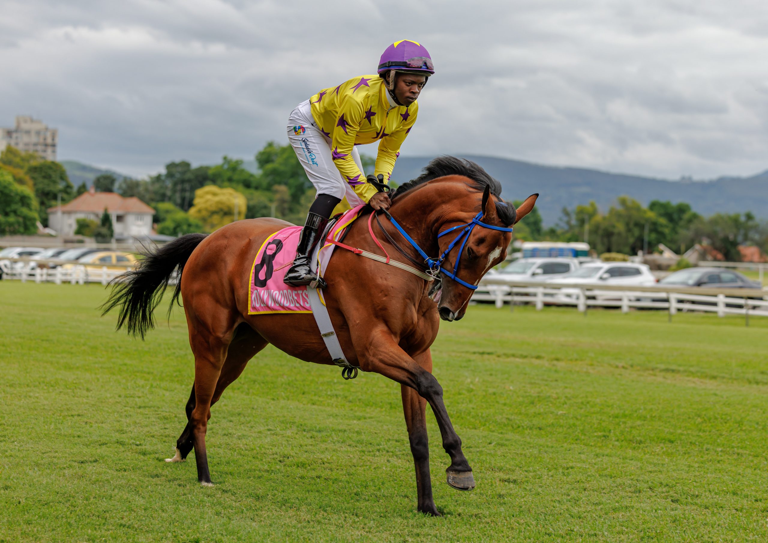 Upcoming Runners: Hollywoodbets Scottsville - Sunday, 1 March 2026 ...