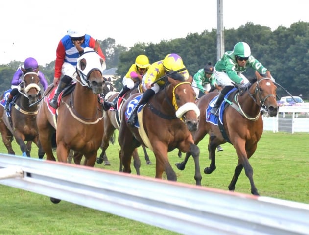 20251230 – CLEVER TREVOR wins Turffontein – 775 (1)