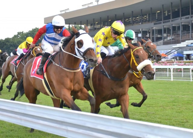20251230 – CLEVER TREVOR wins Turffontein – 775 (2)