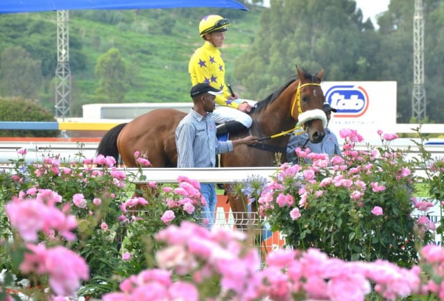 20251230 – CLEVER TREVOR wins Turffontein – 775 (9)