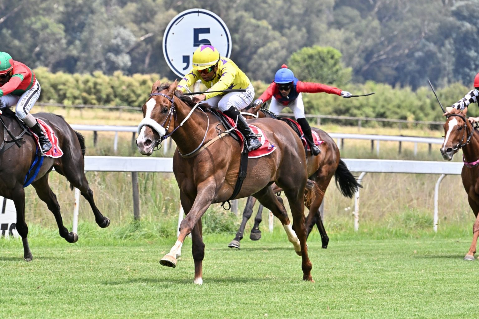 Vaal Races Upcoming Runners: Vaal - Tuesday, 21 April 2026 - Hollywood Racing