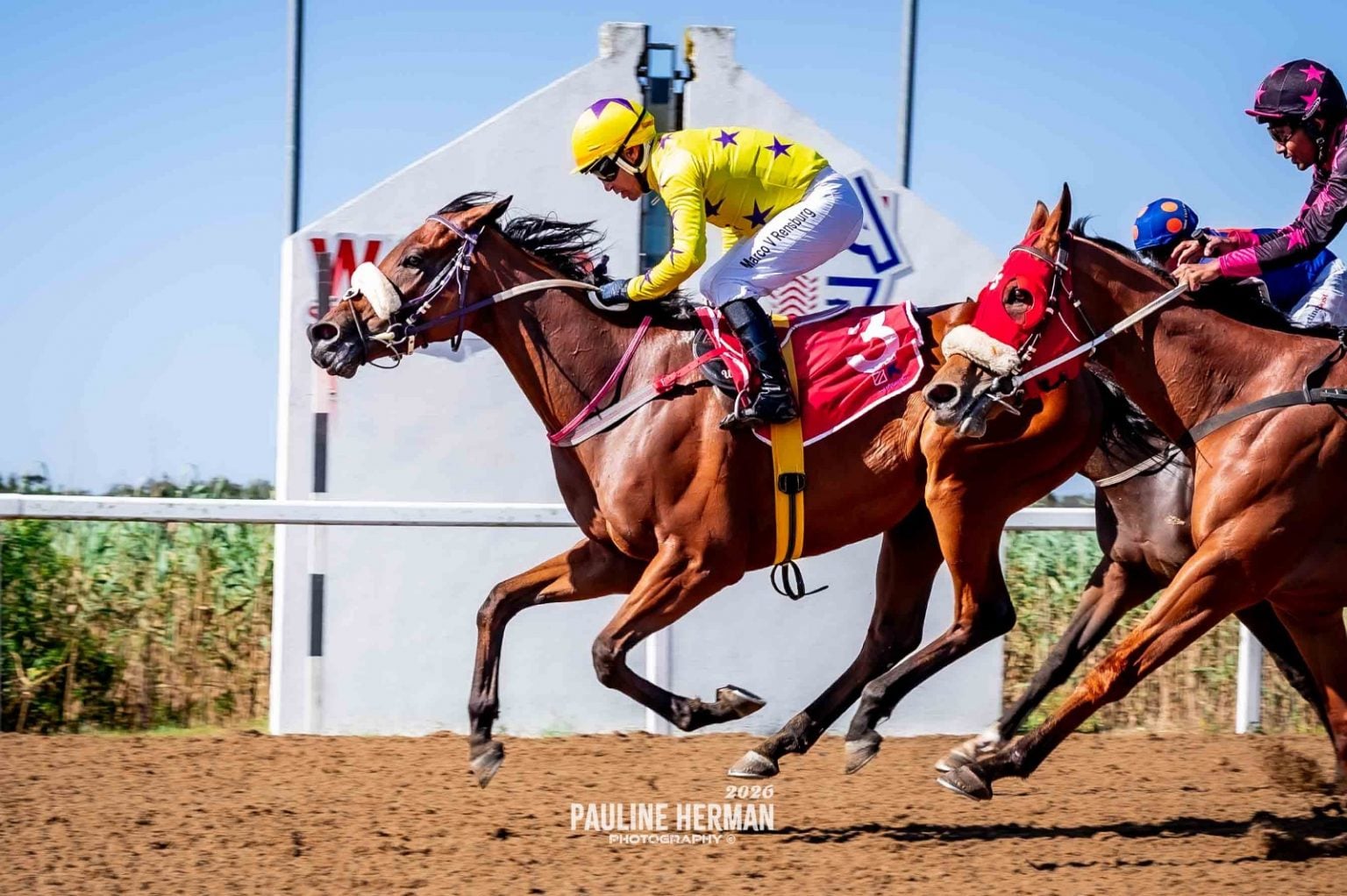 Polytrack Racing Upcoming Runners: Fairview Polytrack - Tuesday, 10 March 2026 ...