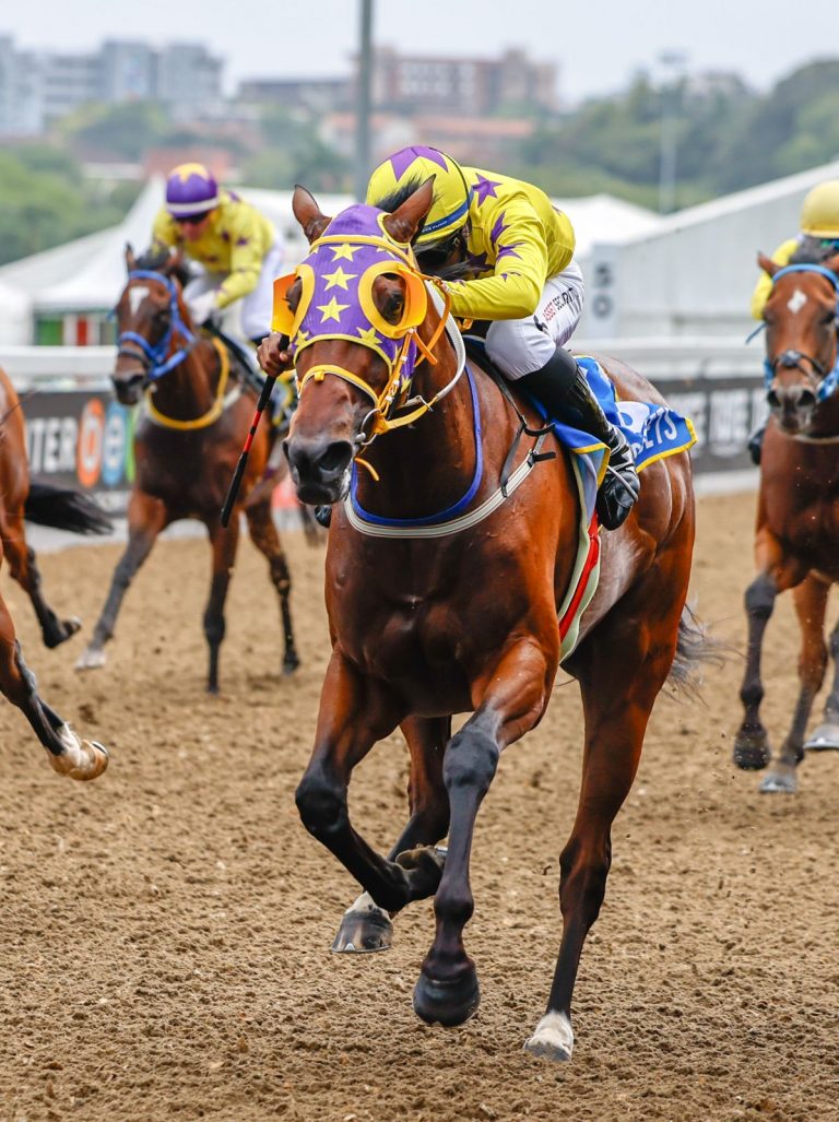 Polycrak Upcoming Runners: Hollywoodbets Greyville Polytrack - Friday, 27 ...