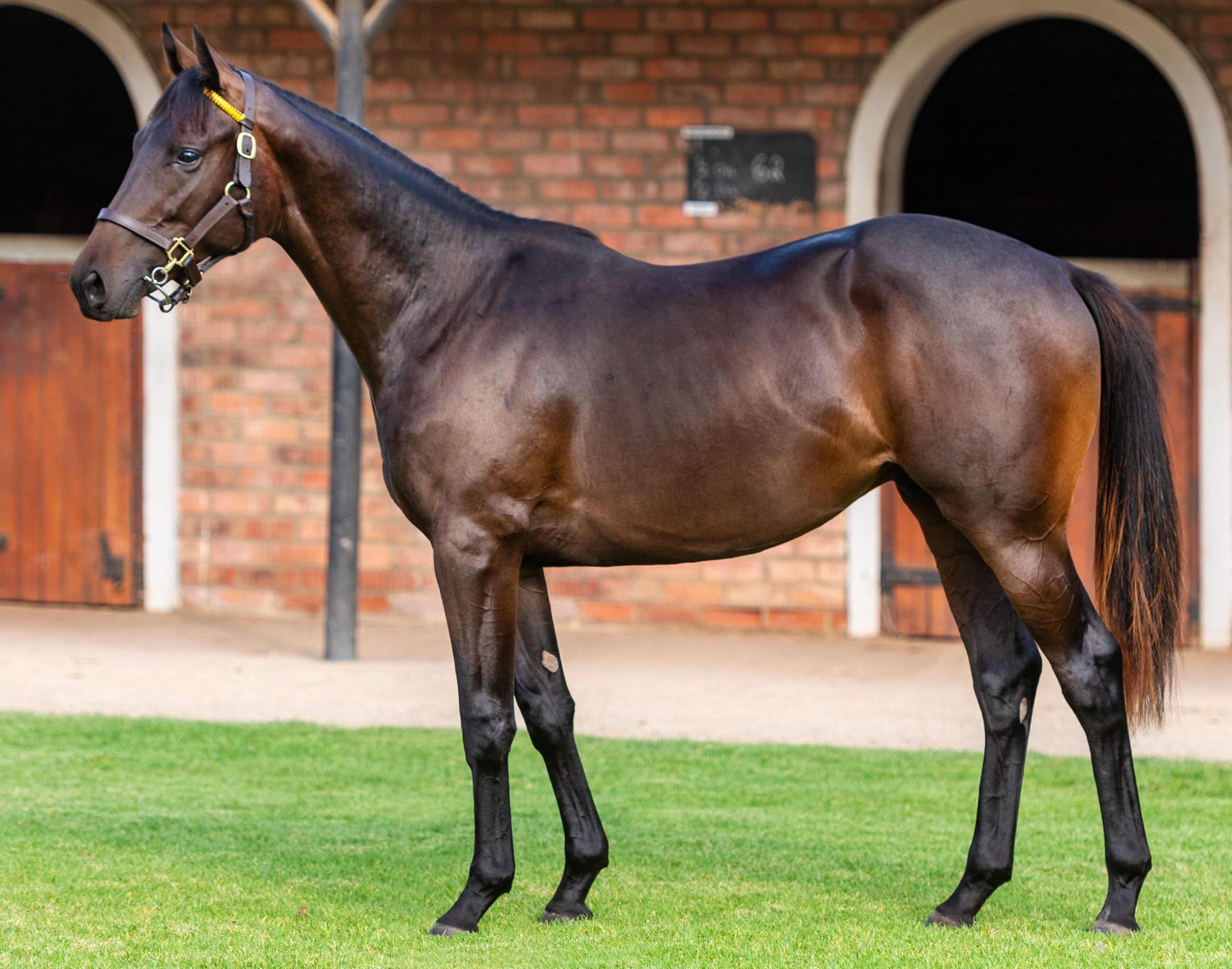 Prized Possession - Hollywood Racing
