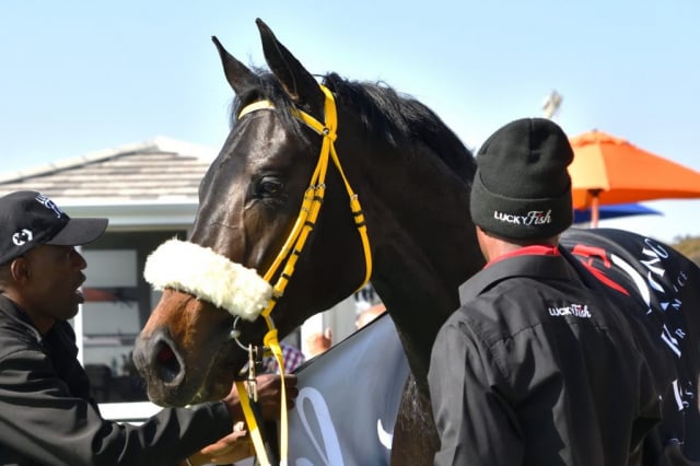 20260629 – TROJAN HORSE wins Turffontein – 857 (12)
