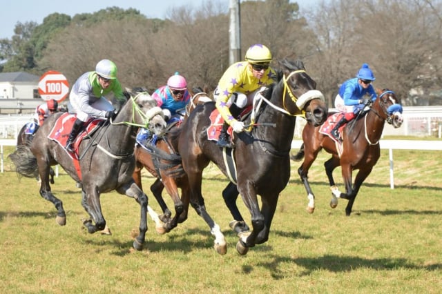20260629 – TROJAN HORSE wins Turffontein – 857 (2)