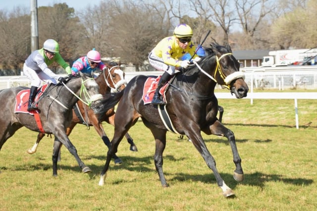20260629 – TROJAN HORSE wins Turffontein – 857 (3)