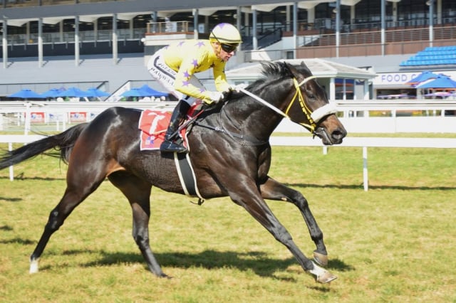 20260629 – TROJAN HORSE wins Turffontein – 857 (4)