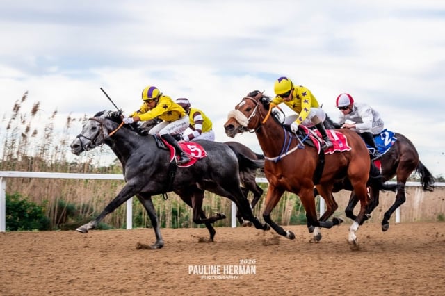 20260703 – IONA CASTLE wins Fairview (3)