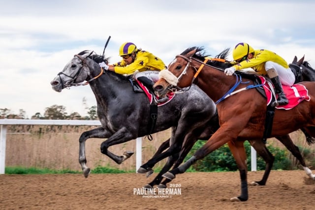 20260703 – IONA CASTLE wins Fairview (4)