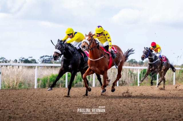 20260724 – REMIND ME OF YOU wins Fairview – 869 (1)