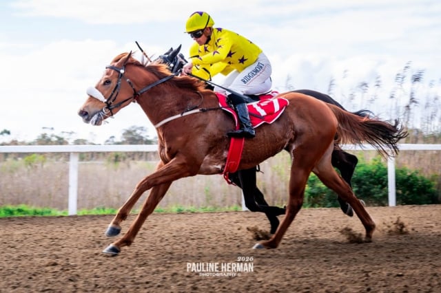 20260724 – REMIND ME OF YOU wins Fairview – 869 (2-1)