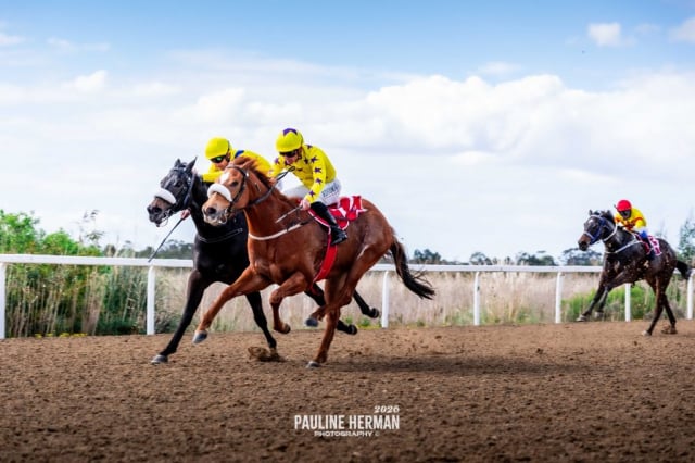 20260724 – REMIND ME OF YOU wins Fairview – 869 (2)