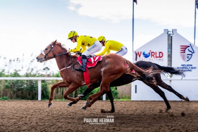 20260724 – REMIND ME OF YOU wins Fairview – 869 (3)