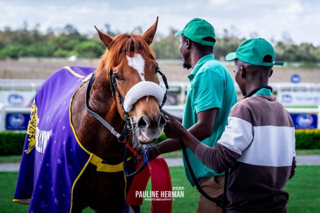 20260724 – REMIND ME OF YOU wins Fairview – 869 (7)