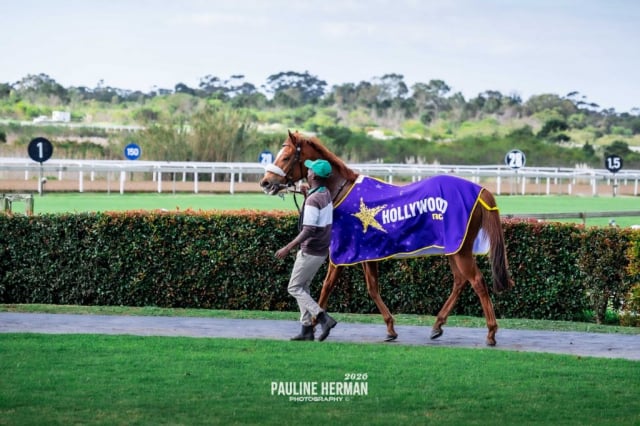 20260724 – REMIND ME OF YOU wins Fairview – 869 (8)