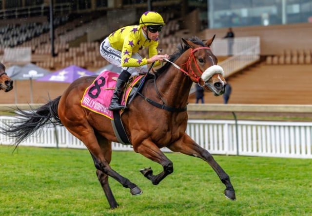 20260729 – SCOTS WAE HAE wins Scottsville – 870 (3)