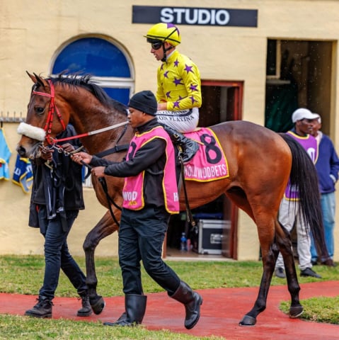 20260729 – SCOTS WAE HAE wins Scottsville – 870 (8)