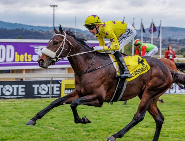 20260729 – SPARROW MAN wins Scottsville – 872 (10)