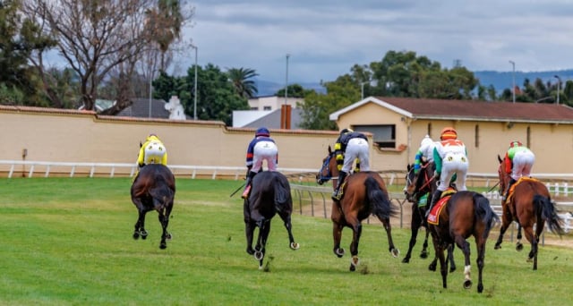 20260729 – SPARROW MAN wins Scottsville – 872 (12)